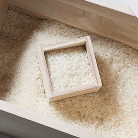 お米の保存は保存容器で！ 正しい保存方法やおすすめの容器をご紹介