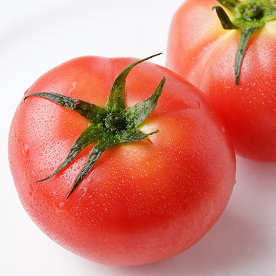 トマトはどんな野菜？ 特徴や保存方法を知って料理に活用しよう