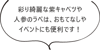 彩り綺麗な紫キャベツや人参のラペは、おもてなしやイベントにも便利です！