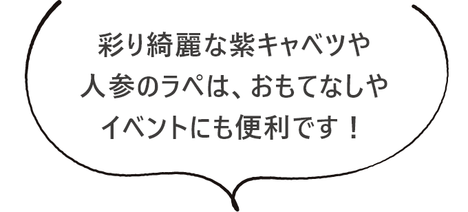 彩り綺麗な紫キャベツや人参のラペは、おもてなしやイベントにも便利です！