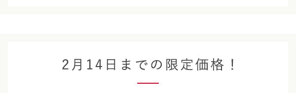 2月14日までの特別価格！