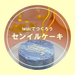 センイルケーキ