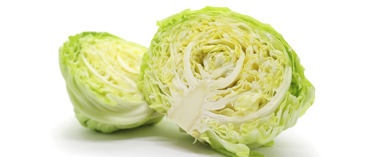 キャベツはどんな野菜?