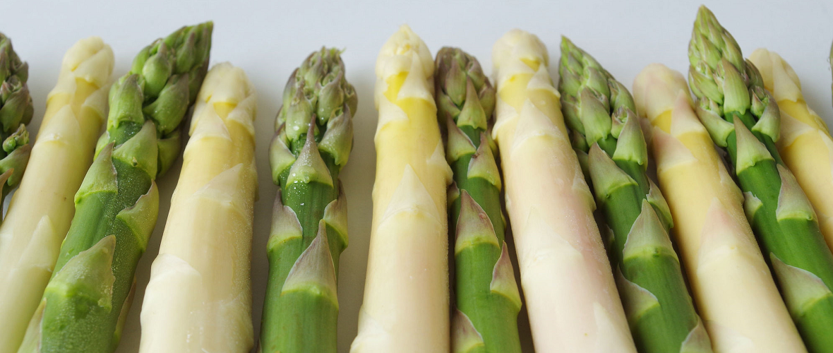 アスパラガスはどんな野菜?
