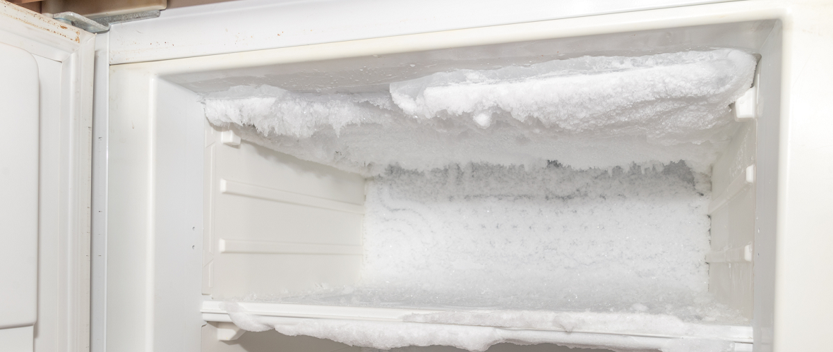 シラスを冷凍保存する手順