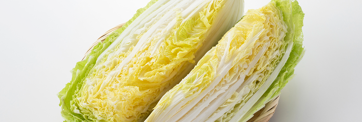 白菜は冷凍保存しておくのがおすすめ! 冷凍方法と使い方のポイント