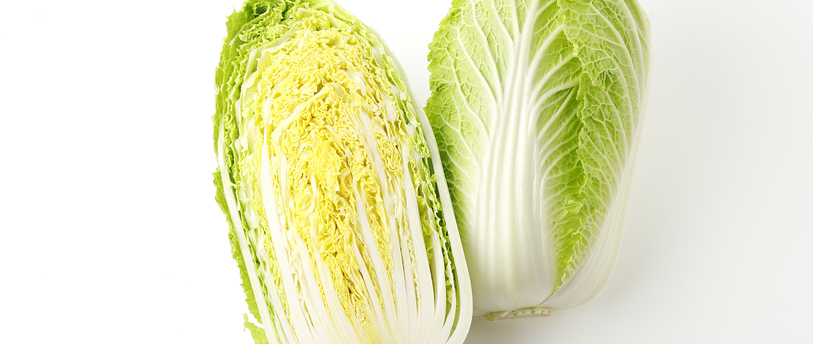 白菜ってどんな野菜?