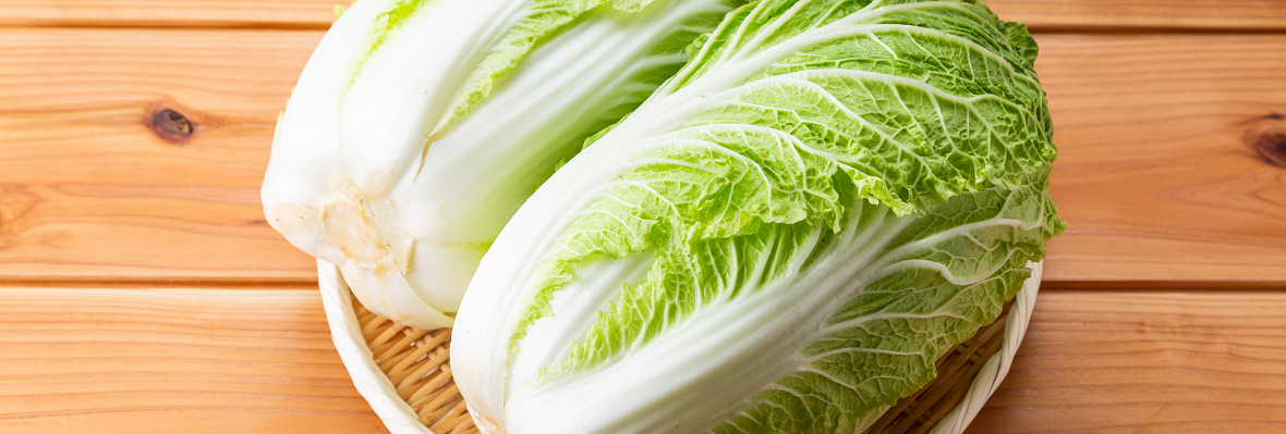 白菜ってどんな野菜? 選び方や保存方法も知ってよりおいしく食べよう