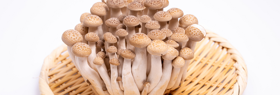 ぶなしめじの特徴は? 選び方や保存方法を知って料理に生かそう