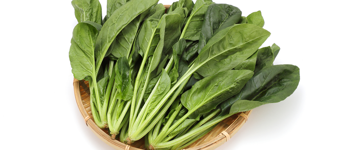 ほうれん草ってどんな野菜?