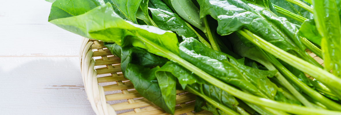 ほうれん草の旬はいつ? 選び方や保存のコツを知って料理に生かそう