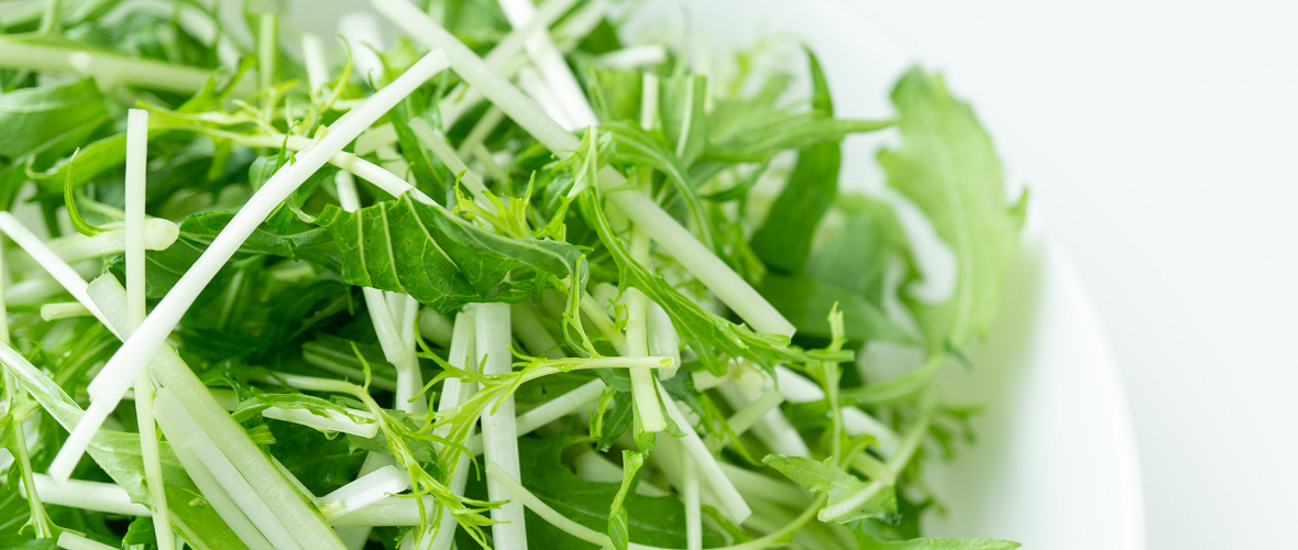 上手に保存して水菜の食感を楽しもう