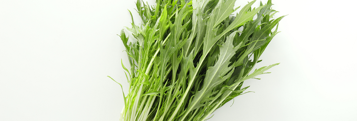 水菜ってどんな野菜? おいしく食べるのに役立つ基本情報