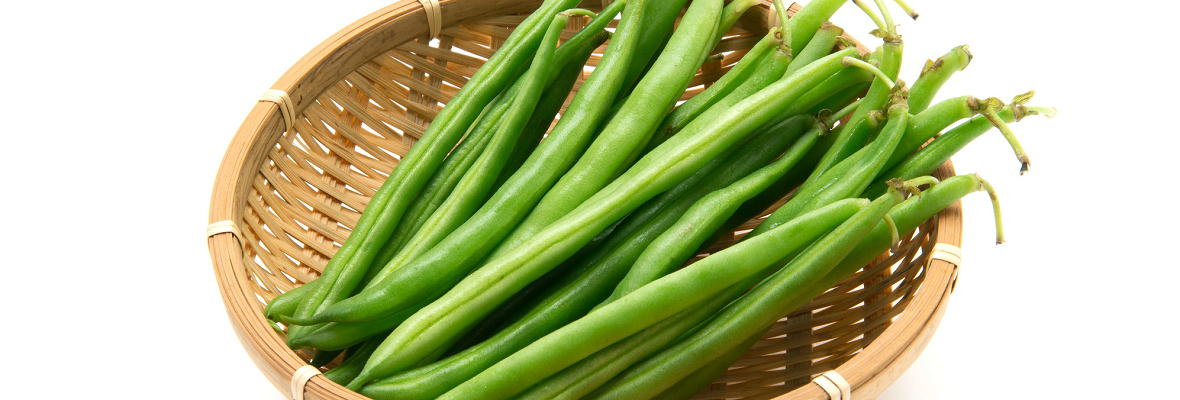 さやいんげんの色や食感を料理に生かそう! 保存や下ごしらえのコツ