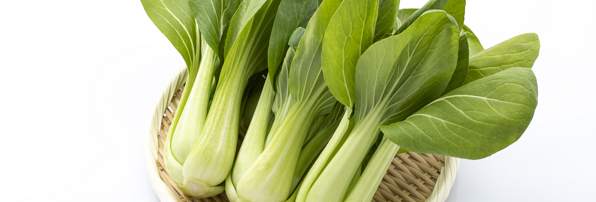 中華料理の定番! チンゲン菜(青梗菜)ってどんな野菜?