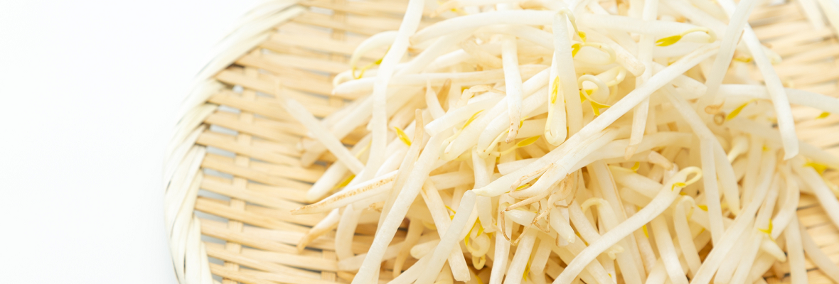 もやしは冷凍できる?おいしく長持ちさせる方法をご紹介