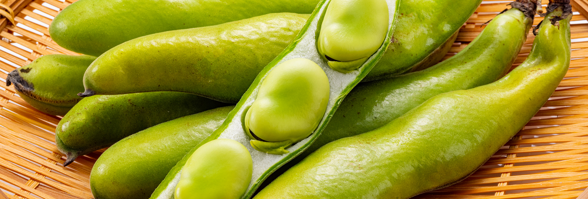 そら豆をおいしく冷凍保存する方法は? 冷凍や解凍方法のコツをご紹介