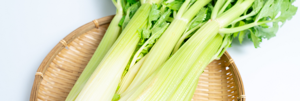 セロリはおいしく冷凍できる? 冷凍保存のコツや注意点などをご紹介