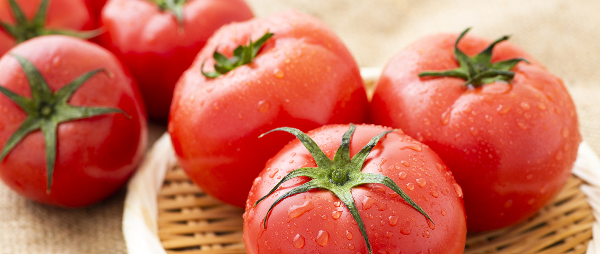 鮮度の良いトマトの選び方