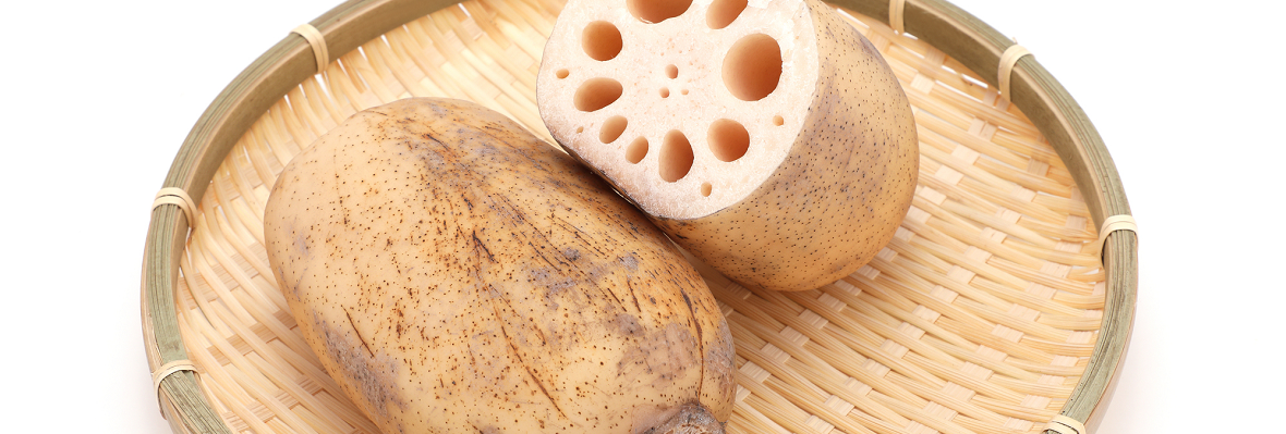 レンコン(蓮根)は冷凍できる? 冷蔵と使い分けておいしさを保とう!